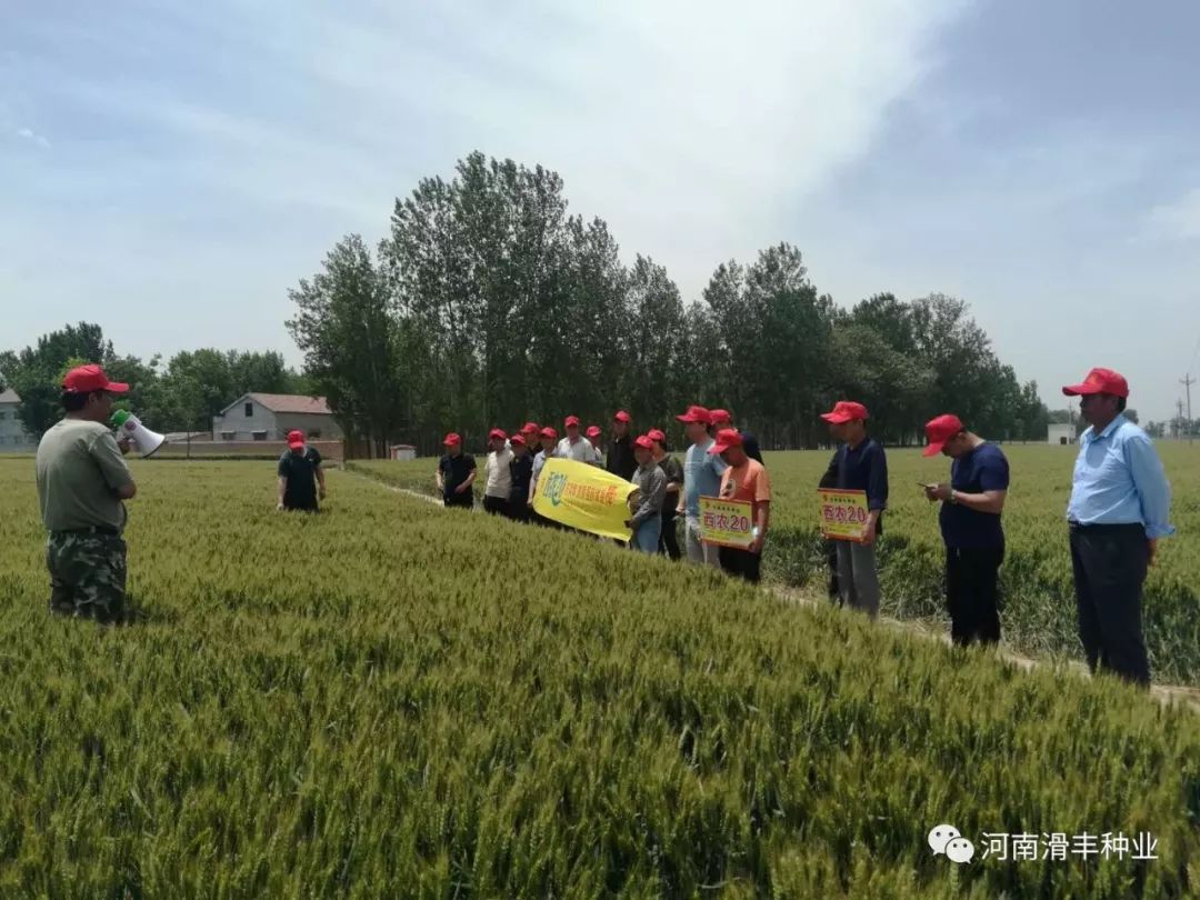 3分钟教程“河南朋友局有没有挂”揭秘透视辅助万能挂