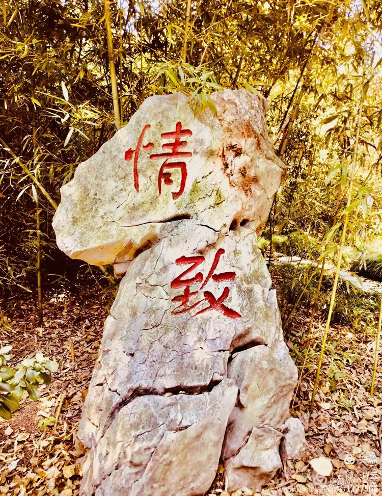 分享实测“欢聚斗地主水鱼透视怎么开”开挂辅助脚本+详细开挂安装教程