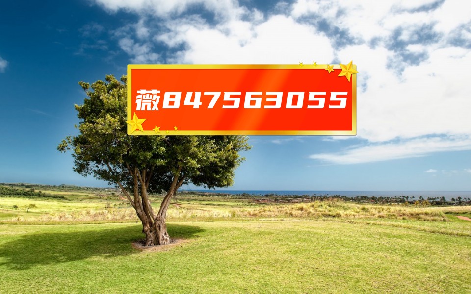 万能开挂辅助“山西扣点点麻将开挂神器免费”开挂(透视)辅助教程