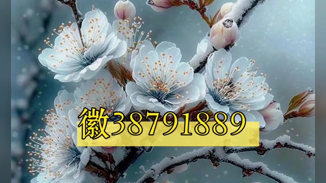 实测教程“老友十三水系统作弊辅助工具一键购买”开挂(透视)辅助教程