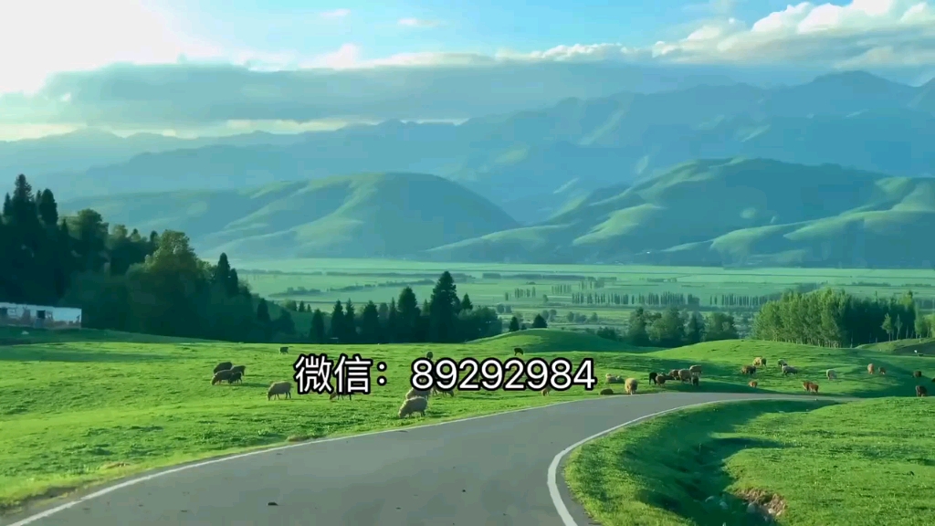 教程分享“微乐陕西挖坑免费透视版+透视挂!”详细辅助教程分享