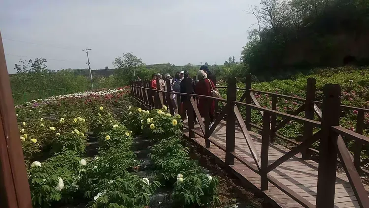3分钟学会“家乡大贰有挂吗”附开挂脚本详细步