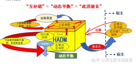 科普实测“HHPoKer开挂版本软件”必赢神器通用版