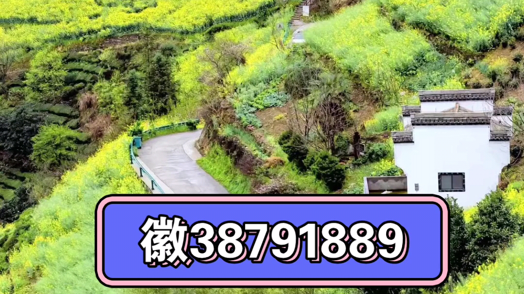 分享实测“壹柒十三张到底有没有挂”开挂(透视)辅助神器