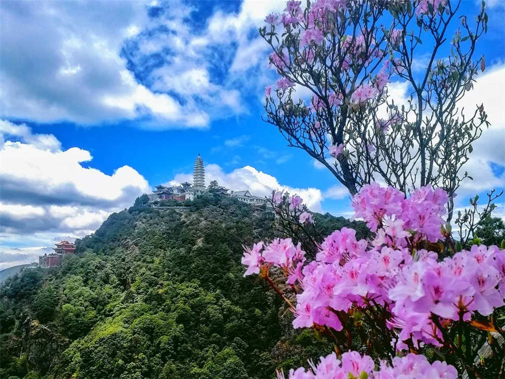 分享实测辅助“山水云南麻将开挂神器”开挂(透视)辅助神器